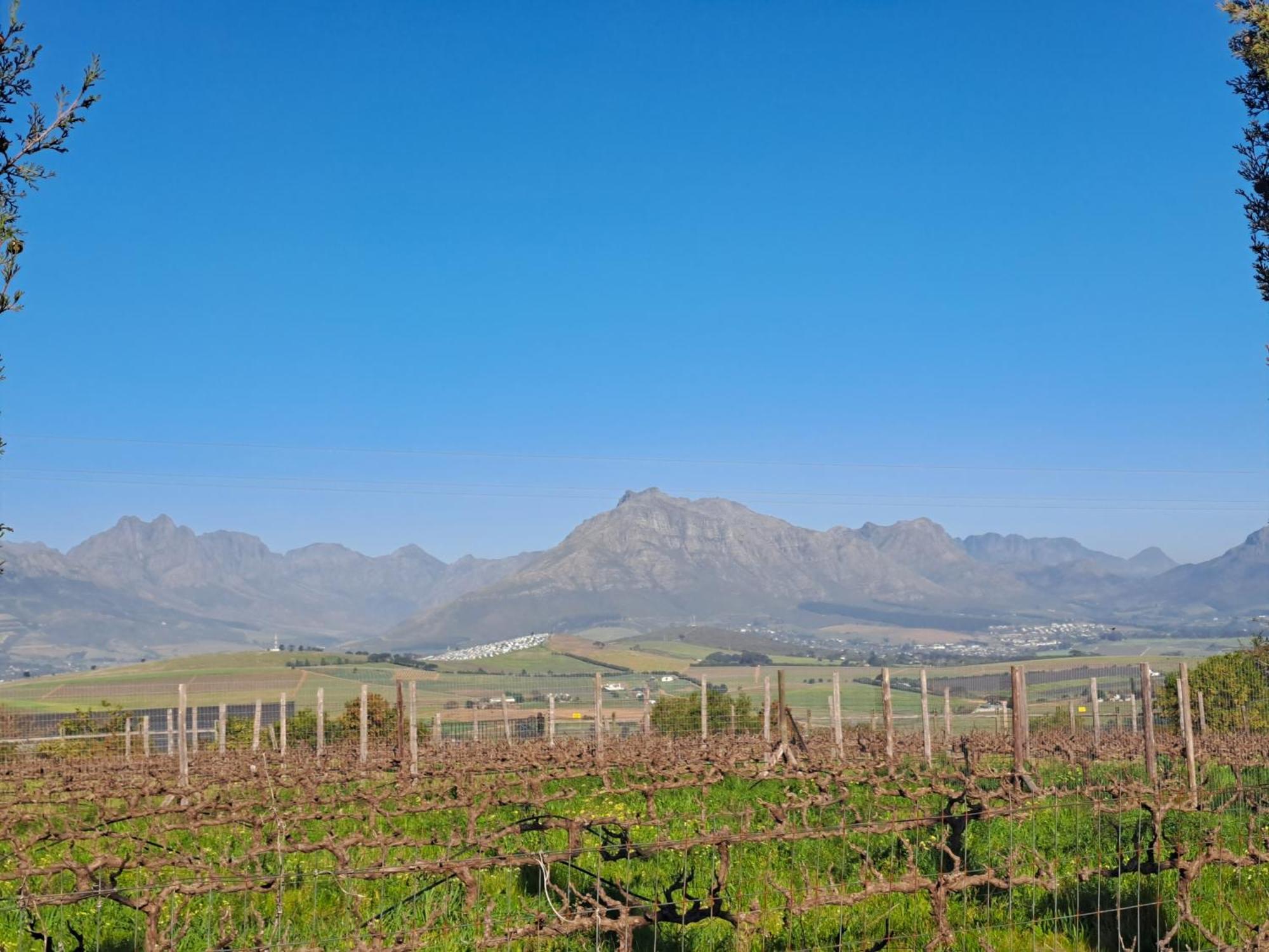 Domaine Coutelier Lägenhet Stellenbosch Rum bild