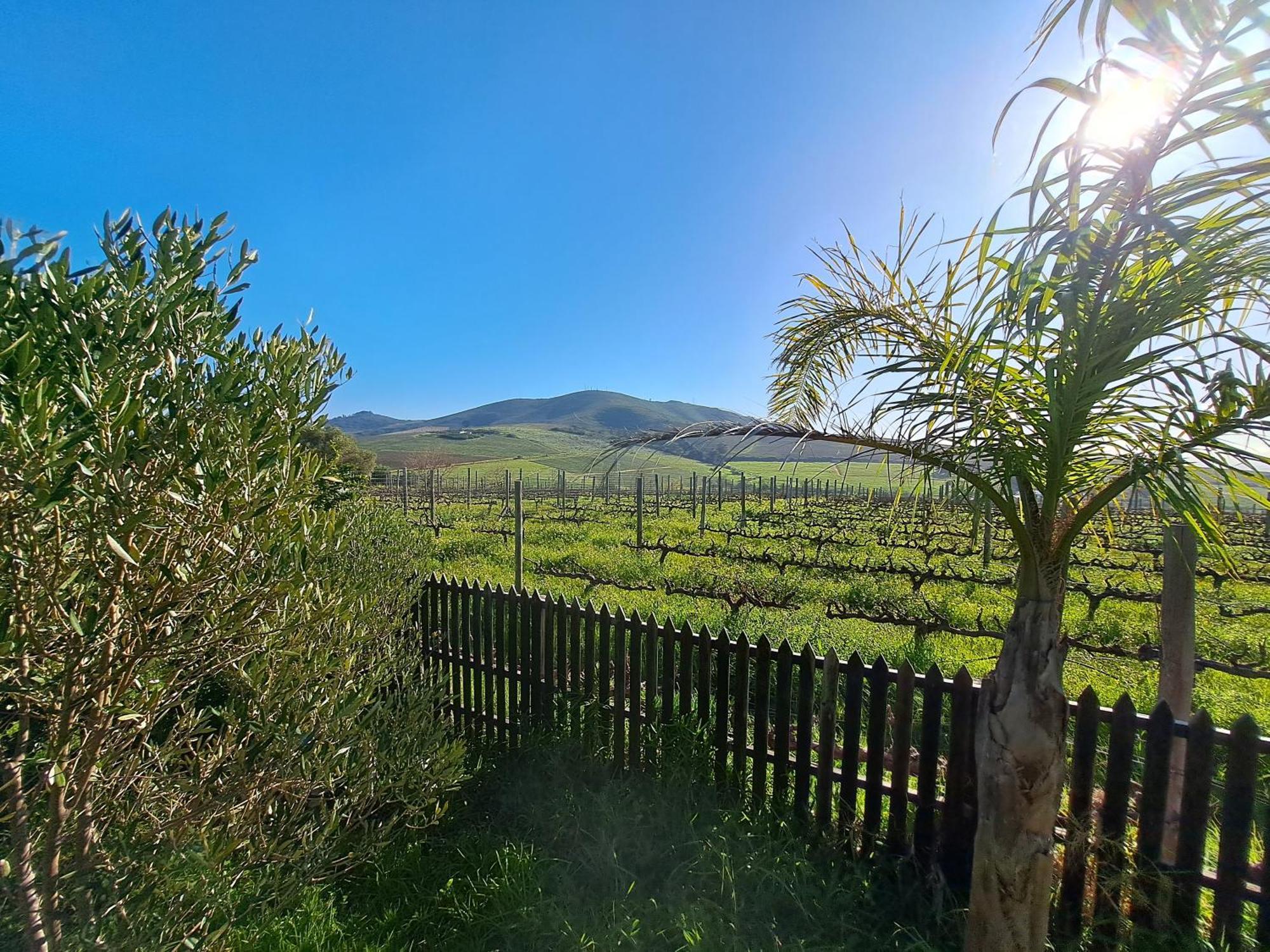 Domaine Coutelier Lägenhet Stellenbosch Rum bild