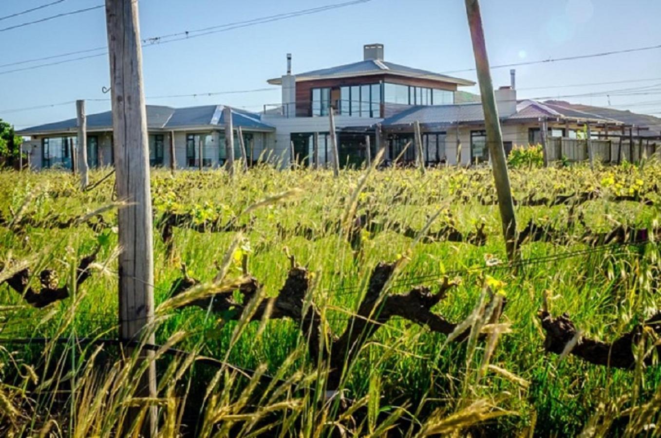 Domaine Coutelier Lägenhet Stellenbosch Exteriör bild