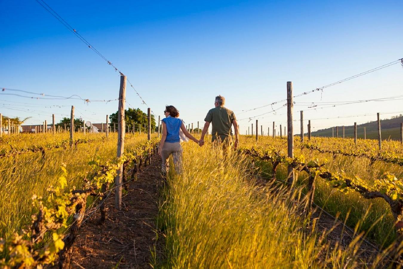 Domaine Coutelier Lägenhet Stellenbosch Exteriör bild