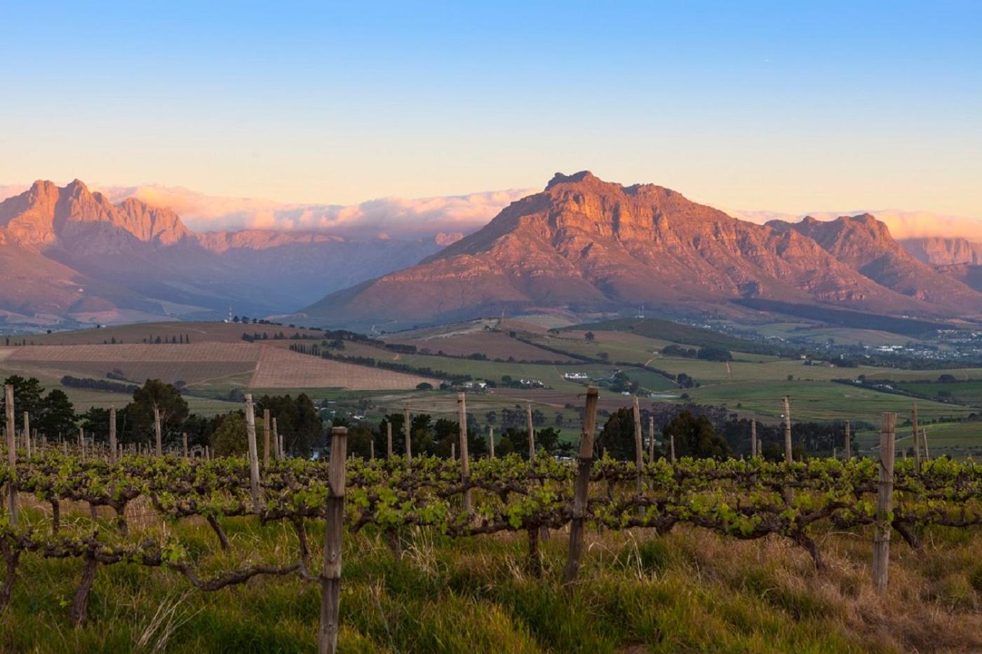 Domaine Coutelier Lägenhet Stellenbosch Exteriör bild