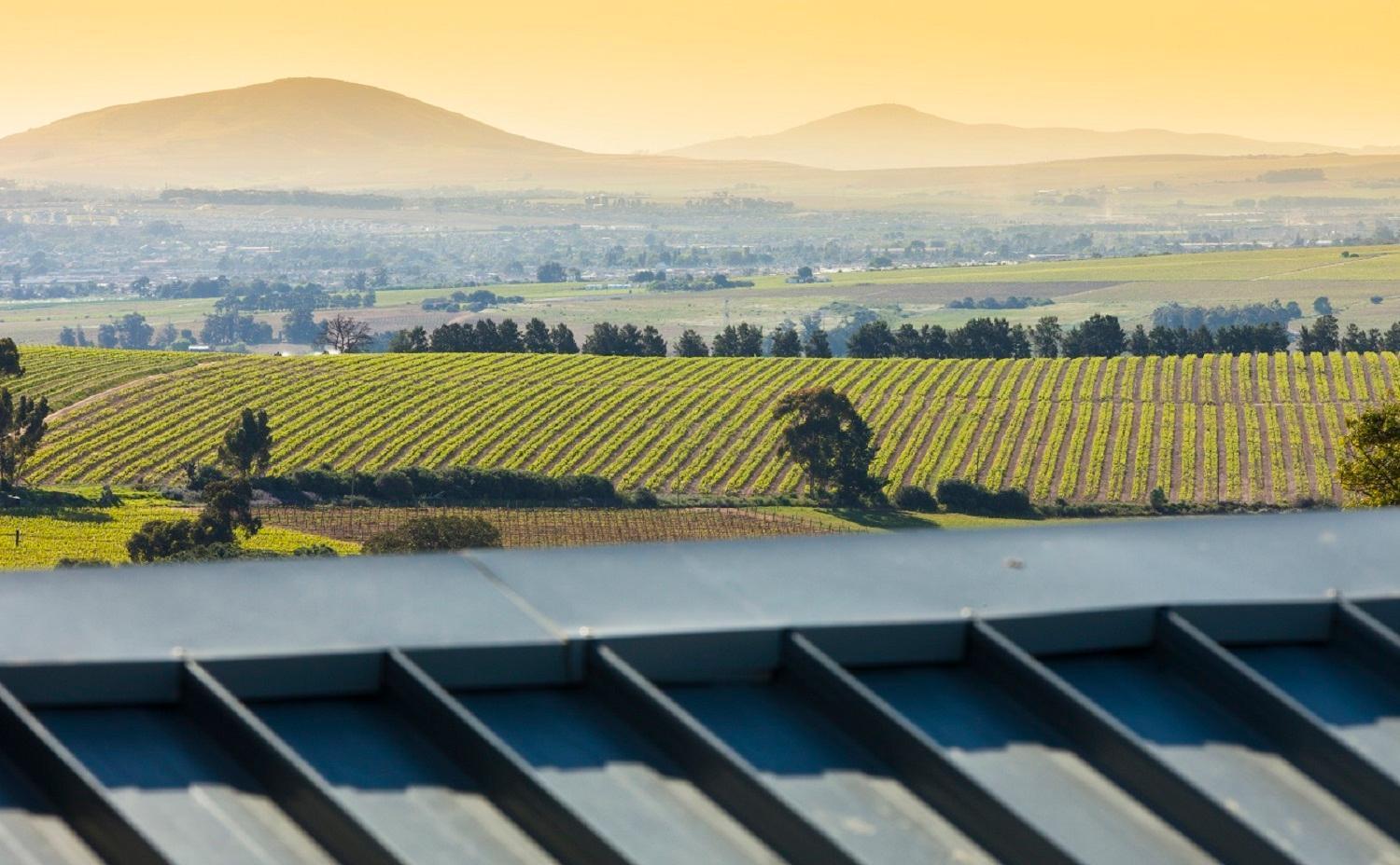 Domaine Coutelier Lägenhet Stellenbosch Exteriör bild