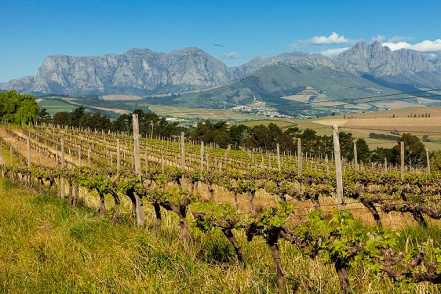 Domaine Coutelier Lägenhet Stellenbosch Exteriör bild