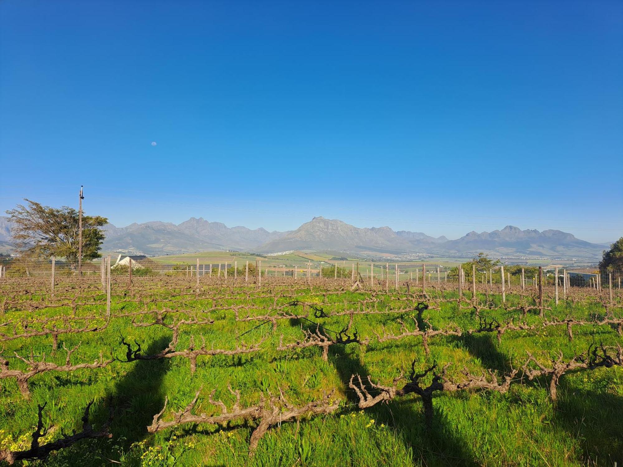 Domaine Coutelier Lägenhet Stellenbosch Rum bild